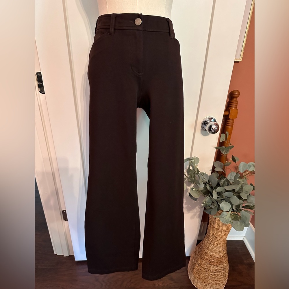 Eileen Fisher Petite Ponte dark brown straight leg rayon blend pockets M pants